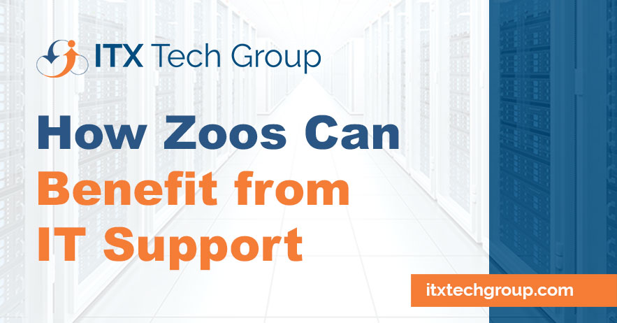 Wildlife Meets Tech: How Zoos Can Benefit from Managed IT Services